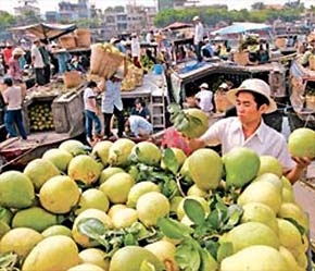 Nông sản là một thế mạnh của Việt Nam.