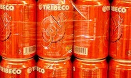 TRI lỗ 8,96 tỷ đồng trong quý 1/2011