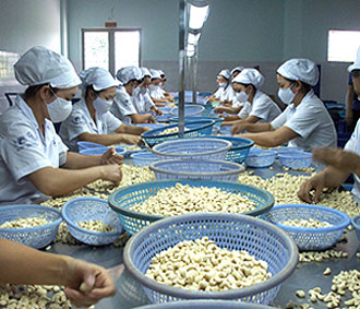 Chế biến nông lâm sản xuất khẩu.