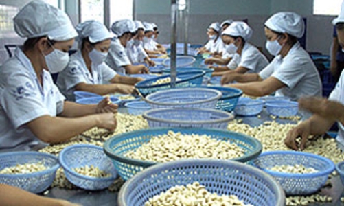 Nghịch lý giá nông sản Việt tại EU