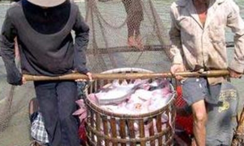 “Bơm” tiền cứu cá