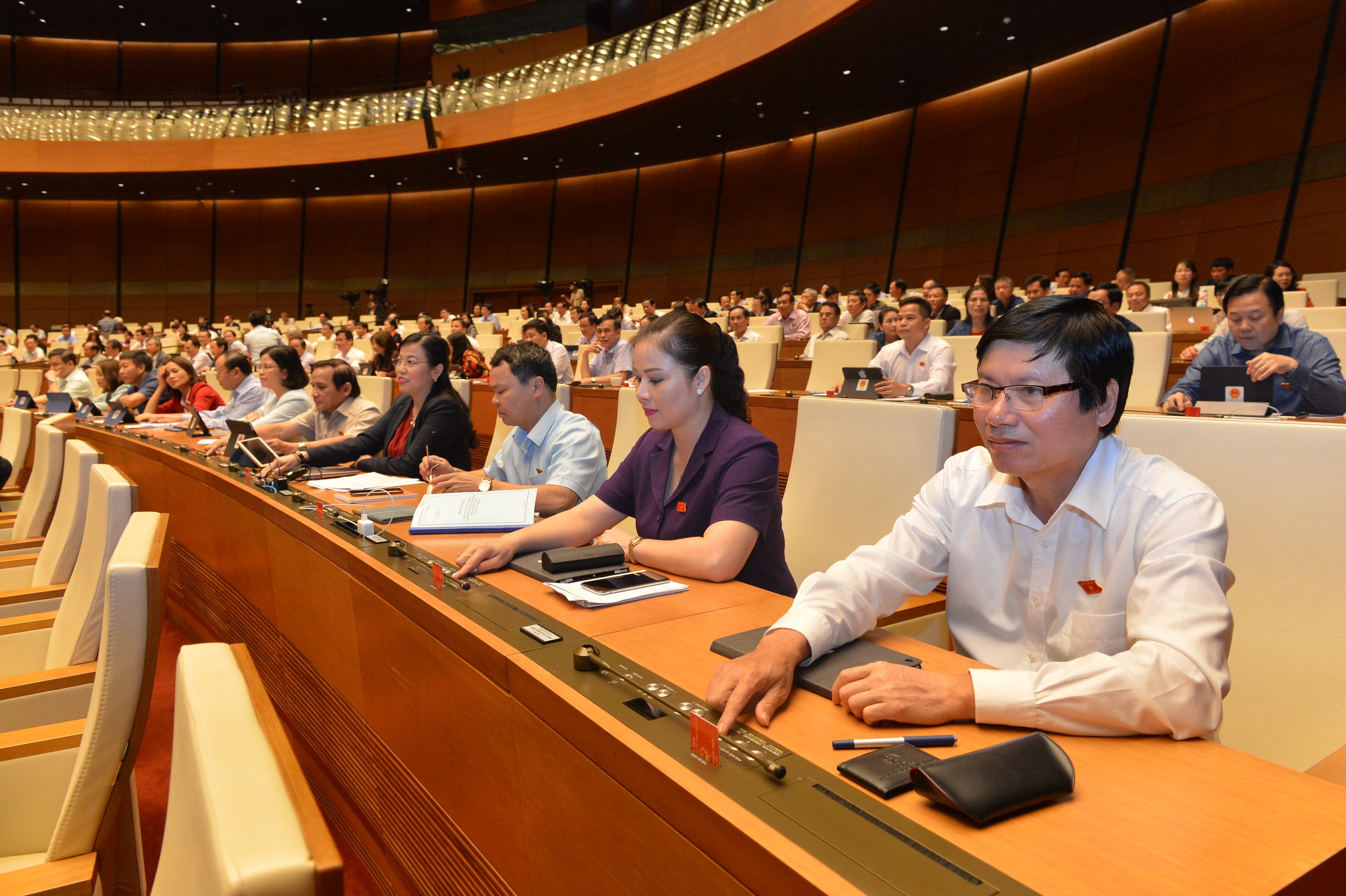 Quốc hội thông qua 17 luật trong năm 2020 - Ảnh: Quochoi.vn