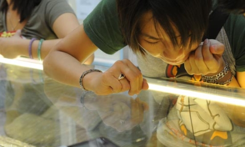 Giá vàng: Lên và xuống đều... chóng mặt