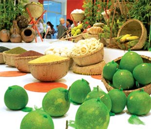 Thiếu thông tin về khuyến nông, nông nghiệp đã làm cho giá trị của hàng nông sản Việt Nam không có tính cạnh tranh.