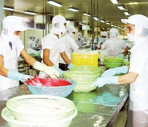 Nguồn nguyên liệu thủy sản đều bị nhiễm các chất kháng sinh cấm, vấn đề là nhiều hay ít.