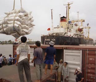 Xuất khẩu gạo từ nay đến cuối năm chủ yếu dựa vào hợp đồng thương mại.