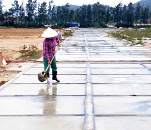 Một ruộng muối ở huyện đảo Cô Tô.