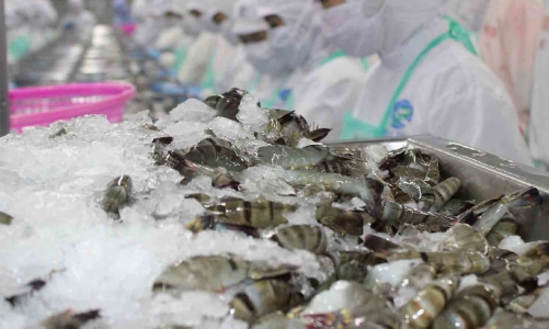 Xuất khẩu tôm giảm 4,4%