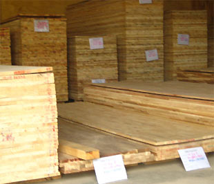 Mức thuế mới sẽ được áp dụng từ ngày 29/4.