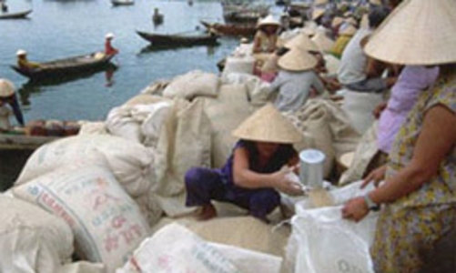 Mua tạm trữ 500.000 tấn gạo được hỗ trợ 100% lãi suất vay vốn