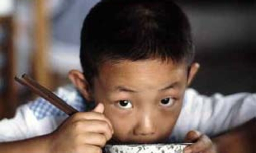 Thế giới tiếp tục khan hiếm gạo