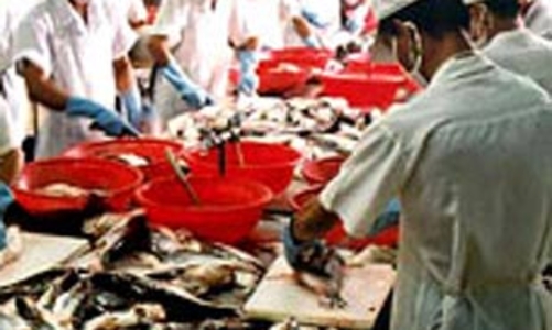 ANGIANG AFIEX CO: “Sóng cả không ngã tay chèo”