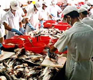 Sản phẩm xuất khẩu của công ty có tính cạnh tranh cao.