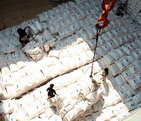 Là một trong những doanh nghiệp lớn của tỉnh Vĩnh Long, hàng năm Công ty Xuất nhập khẩu Vĩnh Long xuất khẩu khoảng 100.000 tấn gạo - Ảnh: TTXVN.