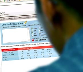 Trong tổng số 1.077 doanh nghiệp được điều tra, có 31,3% đã có website - Ảnh: Việt Tuấn.