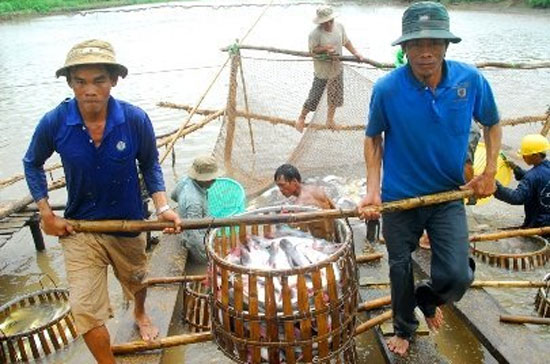 Thủy sản trong nước thiếu nguyên liệu nên doanh nghiệp phải nhập khẩu nhưng gặp rắc rối khâu kiểm dịch - Ảnh: TL.