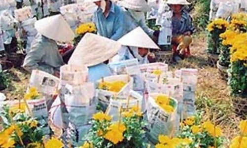 Tài chính vi mô cho người nghèo