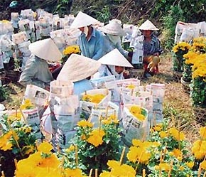 Nếu tính cả ngân hàng chính sách xã hội, số lượng hộ nghèo được hưởng dịch vụ tài chính vi mô khoảng 4 triệu - Ảnh: TT.