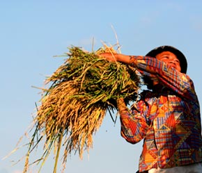 Tuy đạt được những kết quả tích cực, nhưng kinh tế 7 tháng vẫn đứng trước những thách thức - Ảnh: Việt Tuấn.