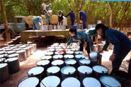 Năm 2009 mặc dù khủng hoảng kinh tế, giá cao su thấp nhưng đến thời điểm này, kim ngạch xuất khẩu đạt xấp xỉ 1 tỷ USD.