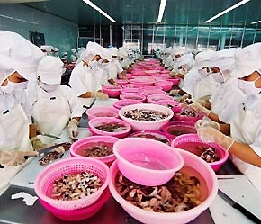Thỏa thuận mới sẽ tạo thêm thuận lợi cạnh tranh cho hàng thủy sản Việt Nam.