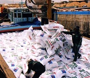 Hiện nay, các doanh nghiệp cũng đang đẩy mạnh mua phân urê từ Trung Quốc để chuẩn bị cho đợt giao hàng trong tháng 10.