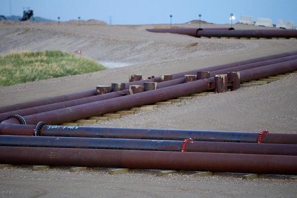 undefined - Ảnh 7.