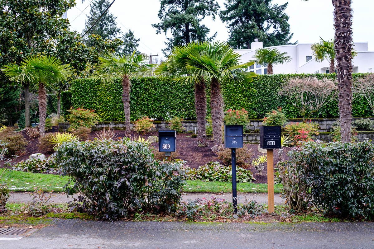 undefined - Ảnh 5.