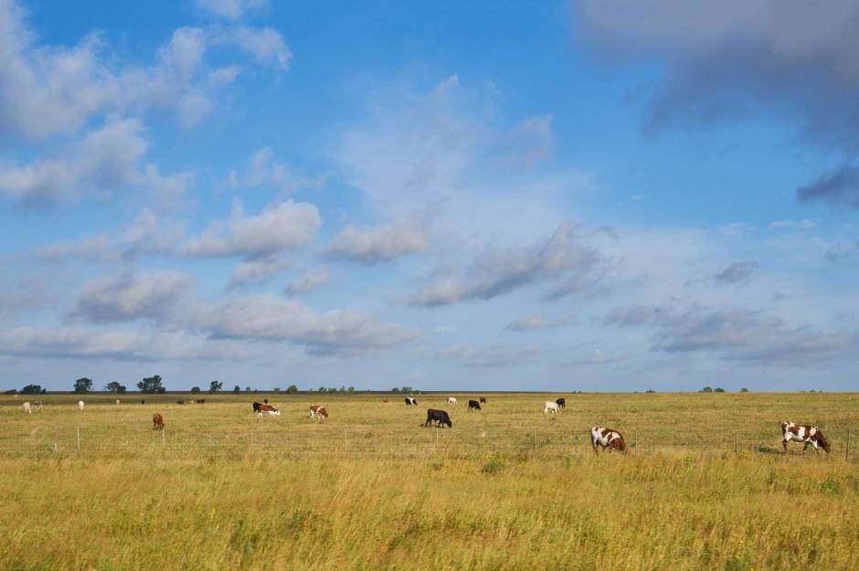 15 chủ đất lớn nhất tại Mỹ - Ảnh 7.