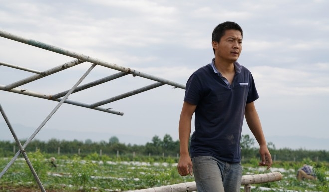 Tiến sĩ, thạc sĩ Trung Quốc đua nhau về quê làm nông nghiệp sạch - Ảnh 1.