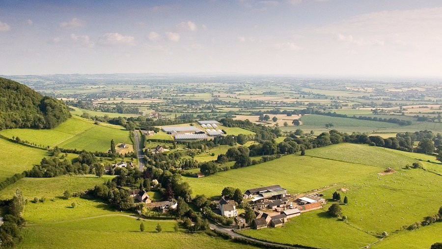 undefined - Ảnh 7.