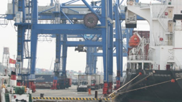 Hãng tàu đẩy áp lực USD cho khách