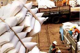 Nếu lượng gạo xuất khẩu đạt đúng như dự kiến, ba quý đầu năm cả nước sẽ xuất khoảng 5 triệu tấn gạo.