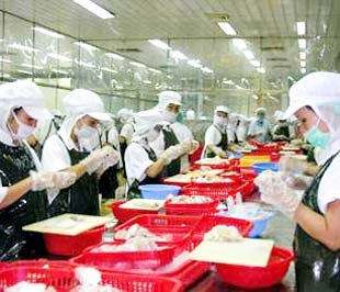 Thiếu vốn, điện bị cắt liên tục đang là những “vật cản” của doanh nghiệp xuất khẩu