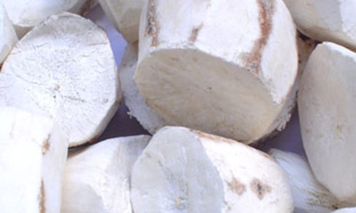 Lập Công ty Nhiên liệu sinh học Dầu khí