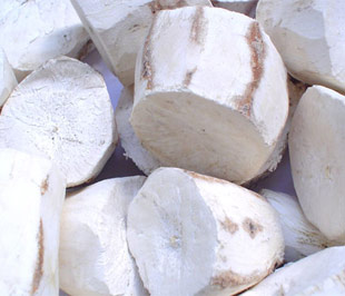 Sắn (khoai mì) là một trong những nguyên liệu sản xuất nhiên liệu ethanol.