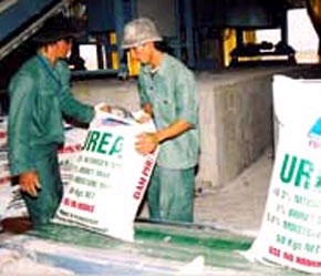 Hiện sản xuất urê trong nước và lượng lưu trữ trong kho cho đến cuối vụ ước khoảng 500.000 tấn.