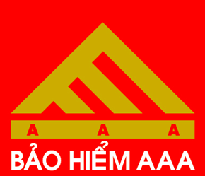 Bảo hiểm AAA đứng thứ 8 trong số 18 công ty bảo hiểm phi nhân thọ tại Việt Nam.