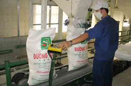 Những ngày qua, giá đường trắng bán lẻ trên thị trường đã chạm "mốc" 20.000 đồng/kg.