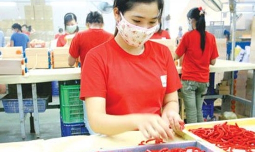 10 năm Luật Doanh nghiệp: Doanh nghiệp tư nhân đang ở đâu?