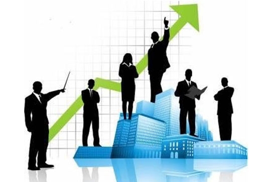 Mô hình công ty đầu tư chứng khoán lần đầu tiên xuất hiện tại Việt Nam năm 2007, được đề cập trong Luật Chứng khoán. Tuy nhiên, kể từ thời điểm đó đến nay, chưa có một công ty đầu tư chứng khoán nào được thành lập.
