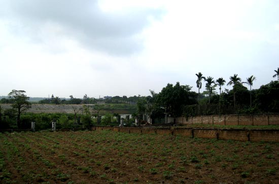 Giá của mảnh đất này đã giảm một nửa so với mức giá cách đây hơn 1 tháng.