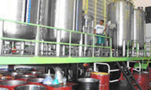 Phát triển nhiên liệu sinh học: Chờ vào chính sách