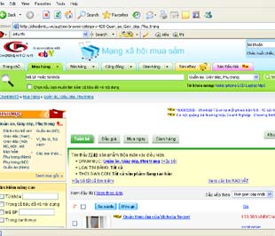 Giao diện của trang www.chodientu.vn.