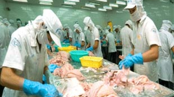 Xuất khẩu thủy sản… chuyển động ngược!