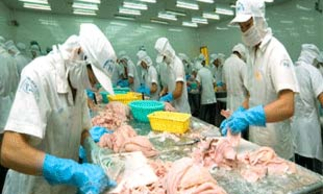 Những năm trước, đây là thời điểm doanh nghiệp thủy sản đang vào guồng tăng tốc xuất khẩu. Nhưng nay, hướng chuyển động đang ngược lại.