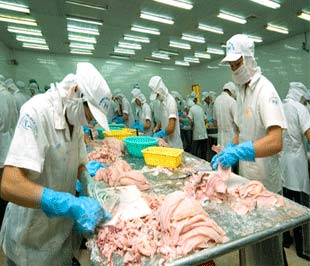 Những năm trước, đây là thời điểm doanh nghiệp thủy sản đang vào guồng tăng tốc xuất khẩu. Nhưng nay, hướng chuyển động đang ngược lại.