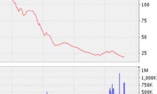 SAM giải trình kết quả kinh doanh quý 2/2008