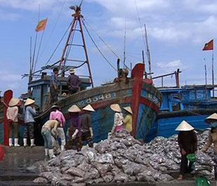 Kết quả của cuộc khảo sát trên đã cho thấy cứ 100.000 lao động trong ngành thuỷ sản nước ta có khoảng 590 người nhiễm HIV - Ảnh minh hoạ