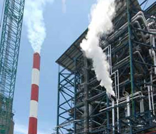 Hội đồng Quản trị PPC đã thông qua kế hoạch sản xuất kinh doanh năm 2009 với tổng doanh thu đạt 3.847,78 tỷ đồng; tổng lợi nhuận trước thuế đạt 297,13 tỷ đồng và trả cổ tức ở mức 5%.